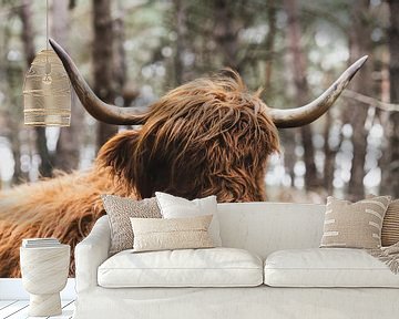 Portret van een Schotse Hooglander in de natuur van Sjoerd van der Wal Fotografie