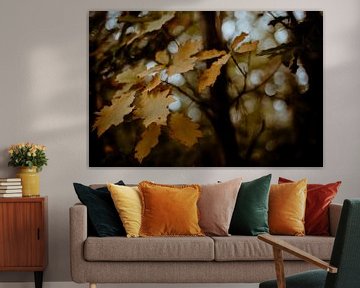 Feuilles d'automne sur Studio Julie