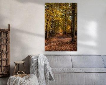 Waldweg im Herbst mit Brücke von John van de Gazelle fotografie