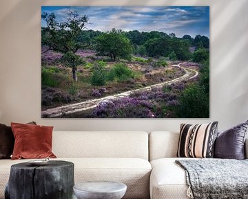 Path between purple heath by Wim van D