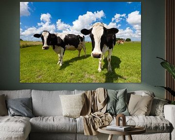 Nieuwsgierige Hollandse koeien in een groene weide in de zomer van Bas Meelker