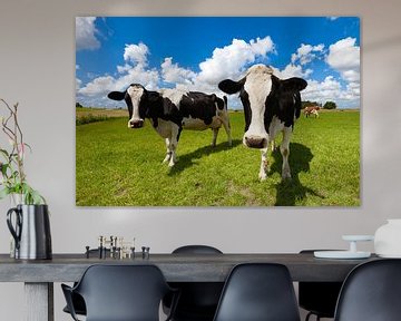 Nieuwsgierige Hollandse koeien in een groene weide in de zomer van Bas Meelker