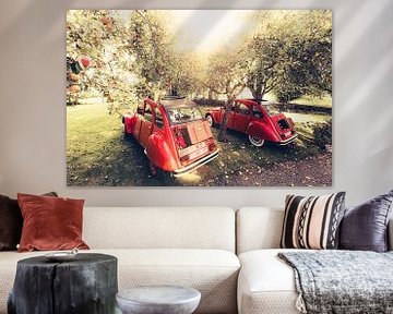 Two Citroën 2CV resting in an apple orchard on a beautiful summer day in Belgium by Bas Meelker