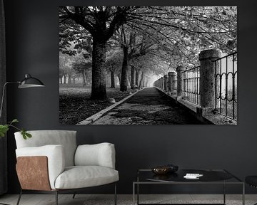 Perspective de profondeur en noir et blanc dans un parc avec des arbres sur Bianca ter Riet
