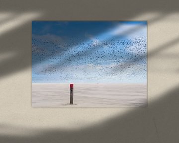 Vue à vol d'oiseau dans une tempête de sable