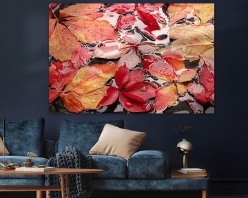 Herbstblätter auf nassem Boden I Wassertröpfchen von Heinz Trebuth