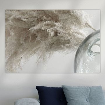 Vague sur Carla Mesken-Dijkhoff