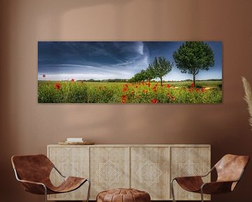Field with poppies by Voss Fine Art Fotografie