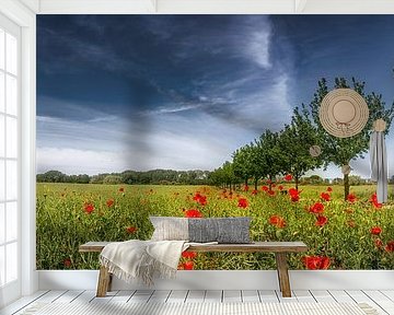 Field with poppies by Voss Fine Art Fotografie