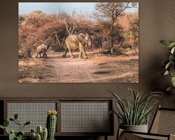 Olifant met jong in Marakele Nationaal Park in Zuid-Afrika van Expeditie Aardbol