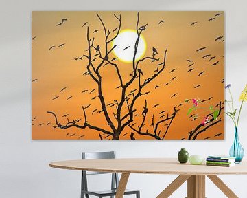 Bird tree at sunset