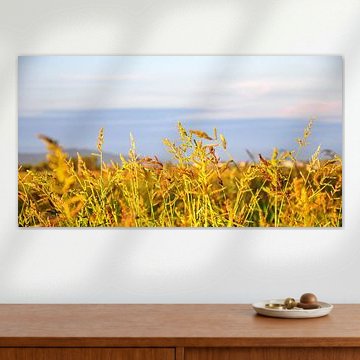 Tarwe by Andu Alcaraz