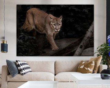 a beautiful cougar walks through a dark forest, by Michael Semenov