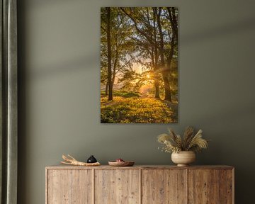 Waldweg während des Sonnenaufgangs auf der Brunssummerheide von John van de Gazelle fotografie