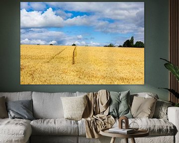  Gold-yellow grainfield with tractor track on the Gulperberg by Evert Jan Luchies