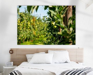 De Nederlandse appelboomgaard van Everyday photos by Renske