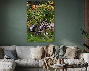 Bycicle