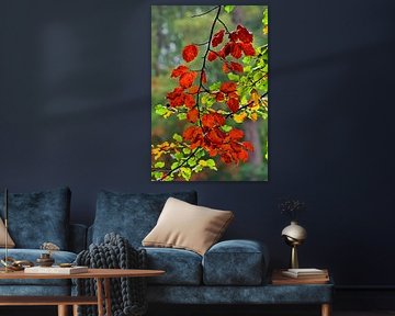 Autumn leaves