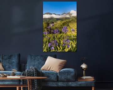 Landscape near Sao Vicente in Madeira - Portugal by Werner Dieterich