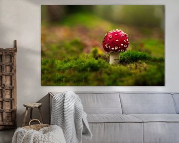 Fly agaric by Peter Deschepper