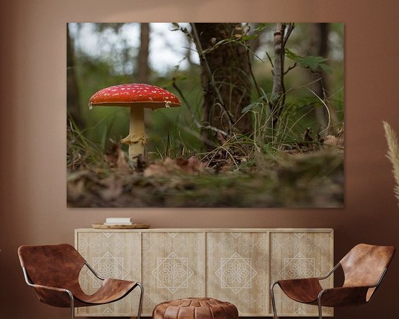 Aperçu de la chambre