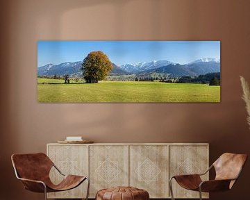 solitaire boom in de herfst, Ostallgäu, Beieren, Duitsland van Markus Lange