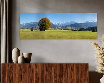 solitaire boom in de herfst, Ostallgäu, Beieren, Duitsland van Markus Lange