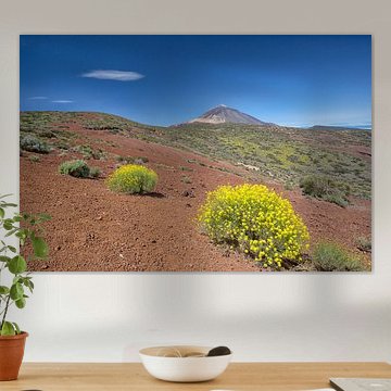 Pico del Teide in spring
