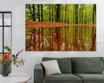 Réflexion sur la forêt dans une hêtraie sur Sjoerd van der Wal Photographie