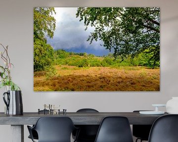 Stormwolken boven heide en bos op de Lemelerberg