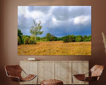 Sturmwolken über einer Heide und einem Wald auf dem Lemelerberg von Sjoerd van der Wal Fotografie