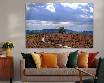 Sturmwolken über einer Heidelandschaft und einem Wald auf dem Archemerberg von Sjoerd van der Wal Fotografie