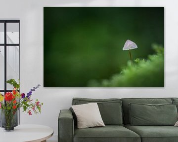 Lost in Green