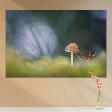 Burst into the light