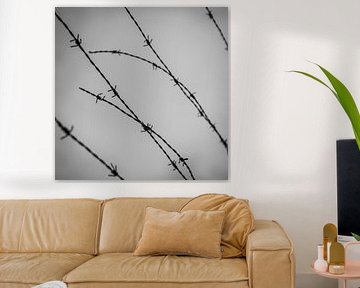 Barbed wire