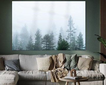 La cime des arbres dans le brouillard. sur Axel Weidner
