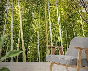 Bamboo forest by Zsa Zsa Faes