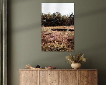 Small fens with heather from Twente by Holly Klein Oonk