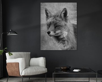 Portret vos in zwart-wit