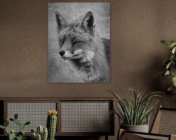 Portrait de renard en noir et blanc sur Marjolein van Middelkoop