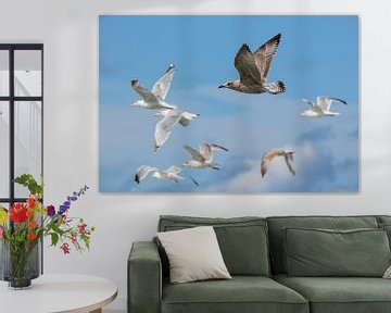 Flying Seagulls van Mathijs De Koning
