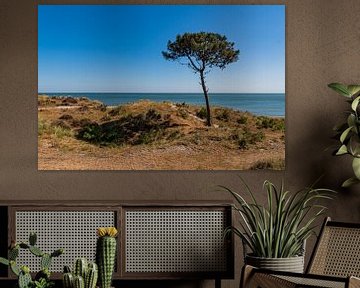 View of a tree and the sea from Terschelling by Merijn Loch