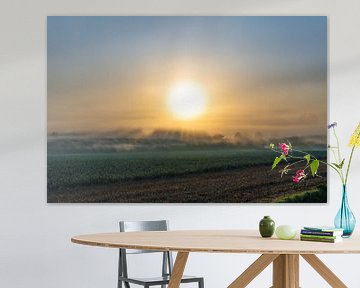 Sunrise over a field by zeilstrafotografie.nl