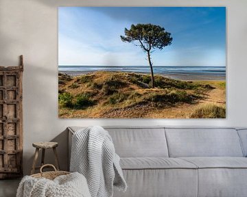 Baum auf Terschelling von Merijn Loch