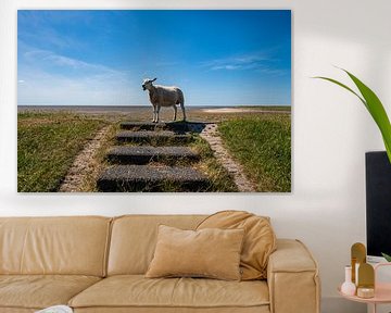 schaap met uitzicht op Terschelling van Merijn Loch