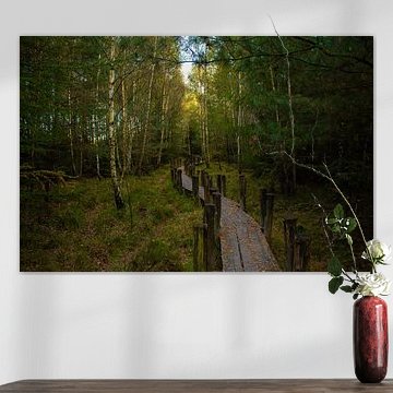 Vlonderpad Dwingelderveld