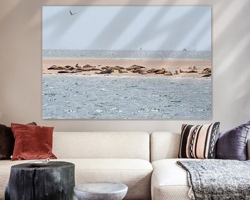 Seals in the Wadden Sea by Merijn Loch