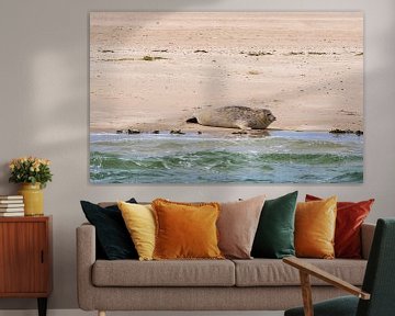 Seal on a sandbank by Merijn Loch