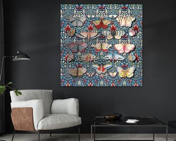 Patterns & Butterflies by Marja van den Hurk