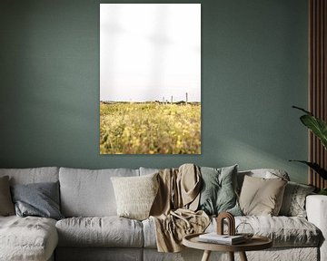 Leuchtend gelbe Dünenvegetation im Nationalpark South Kennemerland von Simone Neeling